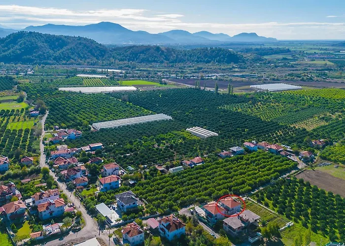 فيلة Horizon أورتاجا