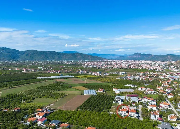 Horizon فيلة أورتاجا