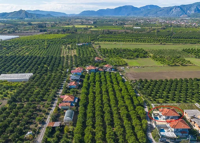 Horizon أورتاجا