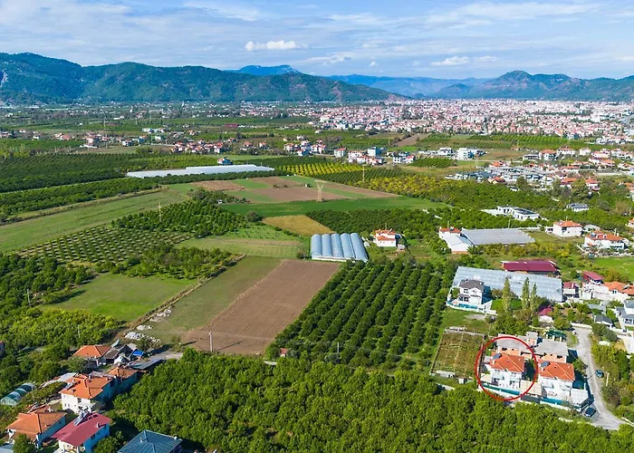 Horizon * أورتاجا