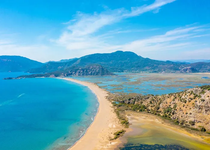 Horizon أورتاجا